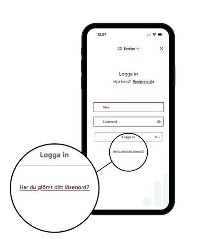 Biblio-SE-login-email-3