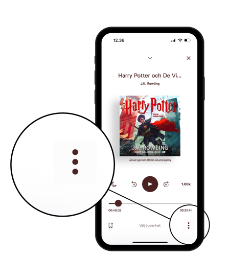 KB-Biblio-SE-audiobook-dots