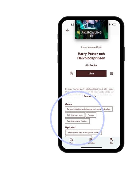 KB-Biblio-SE-genre-about-book